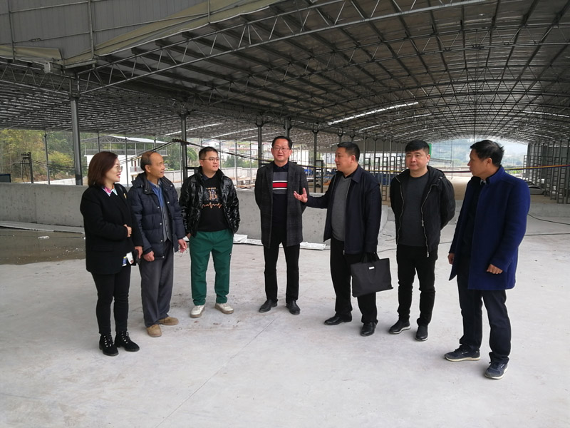 桂林市秀峰區殷區長帶團隊考察公司生產基地